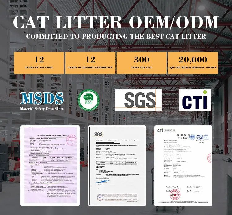 bentonite cat litter certificate.webp